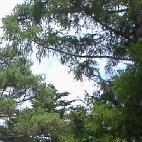 ���y���̖^�����B���h�̍ہA4�5�l�̃`�[���ŕʂ�ăX�P�b�`�����ɍs���܂����B